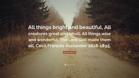 All Creatures Bright And Beautiful