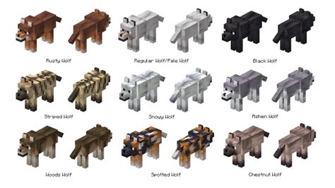 All Minecraft Wolf Variants And Where To Find Dot To Dot Doos - Dot To Dot Doos