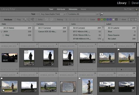 all that you need to know about filter bar in lightroom - BeArt Presets