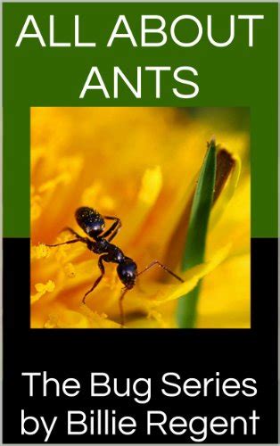 Download All About Ants Ant Book For Kids With Information About Ant Colonies Carpenter Ants Ant Types Ant Hill And Black Ants Bug Series 1 