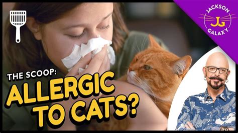 allergies dating someone with cats