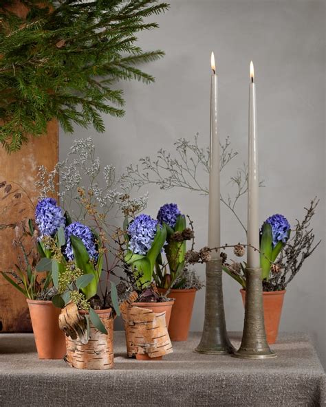 allergiframkallande blommor