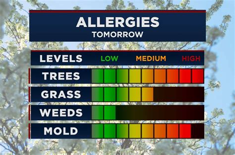 Allergy Forecast Near Me