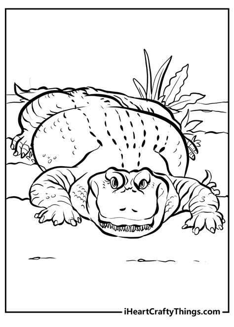 allie alligator coloring sheets