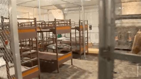 Alligator Alcatraz Walkthrough