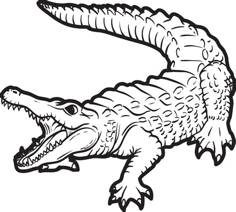 Alligator Coloring Page Free Printable Coloring Pages A For Alligator Coloring Page - A For Alligator Coloring Page