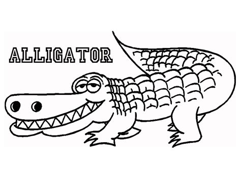 Alligator Coloring Pages Free Printable Coloring Pages Alligator Coloring Pages For Toddlers - Alligator Coloring Pages For Toddlers
