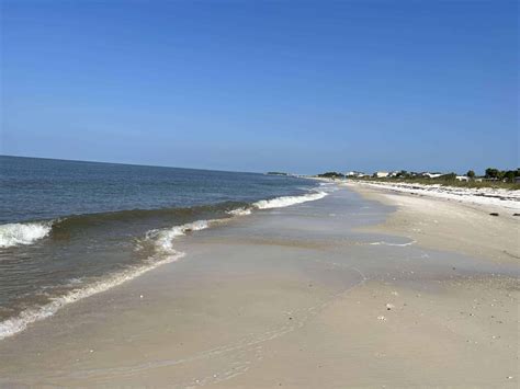 alligator point florida