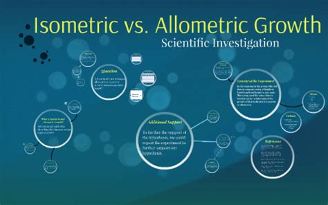 Allometric Vs Isometric On A Graph