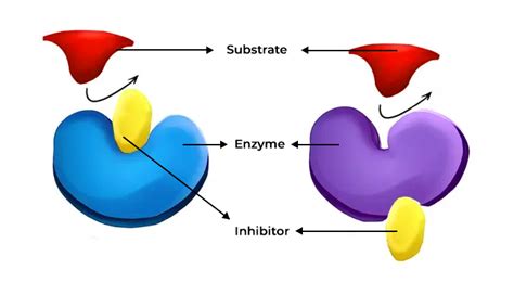 Allosteric