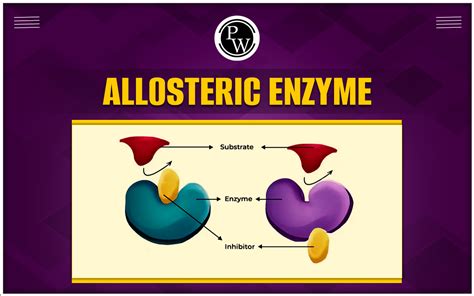 Allosteric Binding