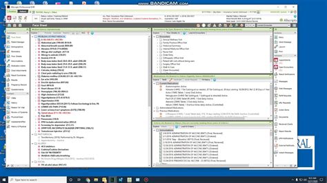Allscripts Ehr Training Manual