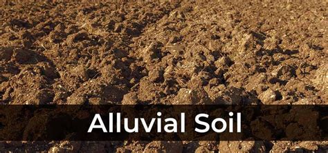Alluvial Soil Characteristics