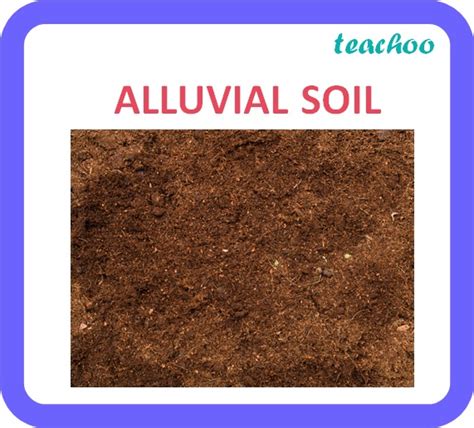 Alluvial Soil Class 10