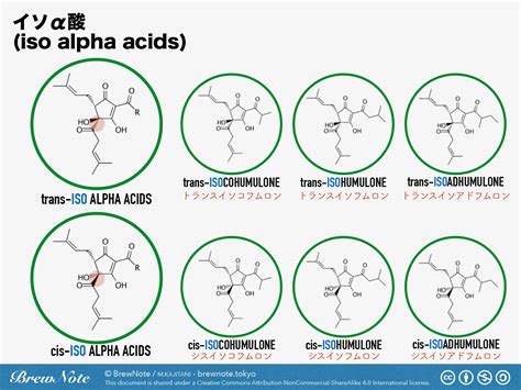 Alpha Acids And How It Affects Beer
