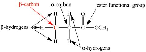 Alpha And Beta Carbons