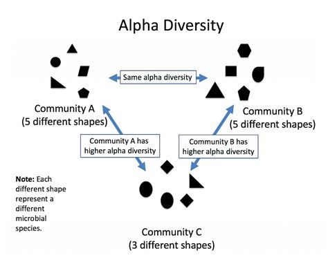 alpha diversity beta diversity