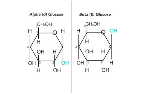 Alpha Glucose Vs Beta Glucose