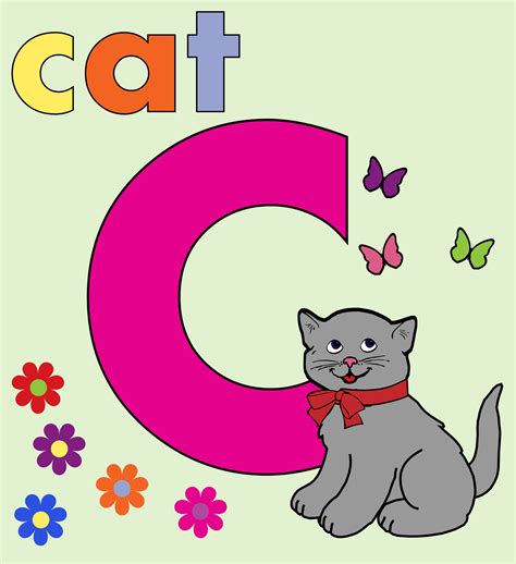 Alphabet C For Cat With Photo Of Kids Abcd Alphabets With Pictures - Abcd Alphabets With Pictures