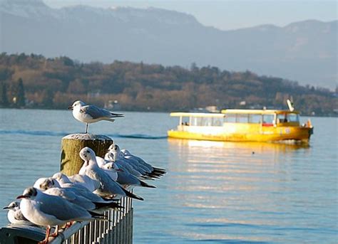 Already In Geneva All The Information To Discover Centre Ville Geneve - Centre Ville Geneve