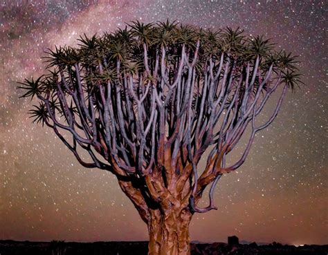 als rentner nach namibia