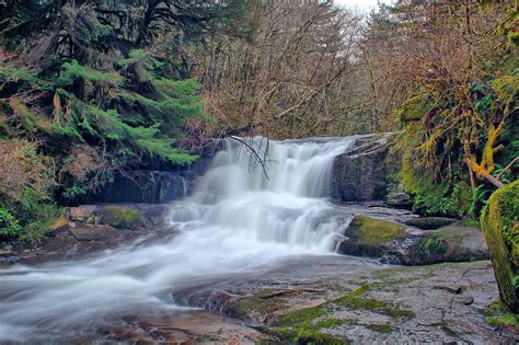 alsea oregon
