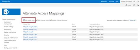 Alternate Access Mappings