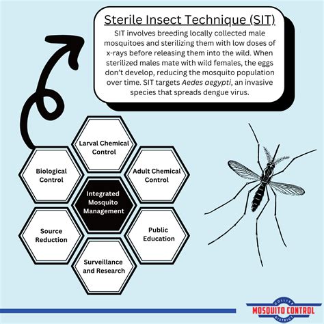 Alternative Mosquito Control Methods Centre For Health