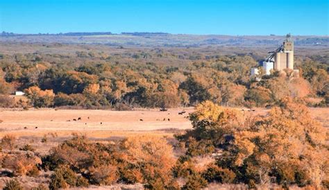 alva oklahoma