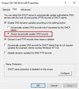 Always Dynamically Update Dns Records