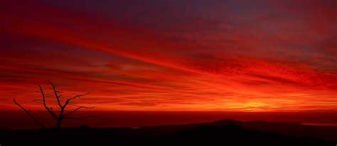 Amanecer Rojo