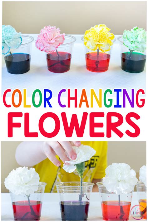 Amazing Color Changing Flowers Experiment Color Changing Science Experiments - Color Changing Science Experiments