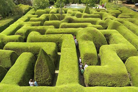 Amazing Mazes