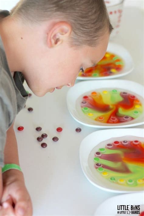 Amazing Skittles Experiment Little Bins For Little Hands Skittle Color Science - Skittle Color Science