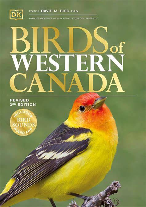 Amazon Canada Books