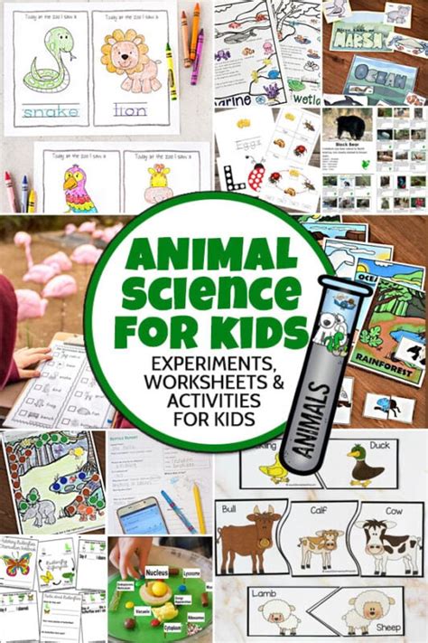 Amazon Com Animal Science For Kids Animal Science For Kids - Animal Science For Kids