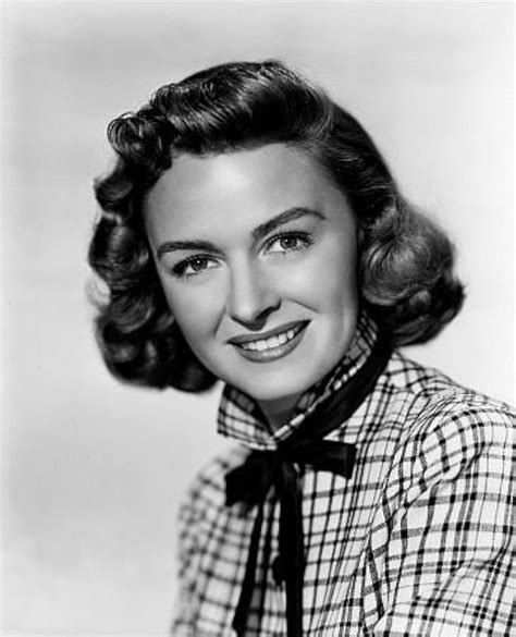 Amazon Donna Reed