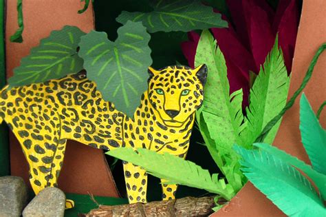 Amazon Jungle Or Rainforest Animals Firstpalette Com Rainforest Animal Color Pages - Rainforest Animal Color Pages