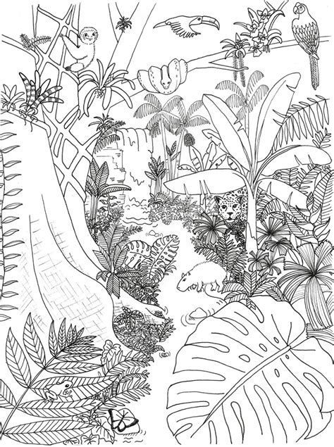 Amazon Rainforest Coloring Pages Jungle Coloring Pages For Kids - Jungle Coloring Pages For Kids