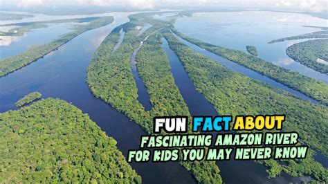 Amazon River Fun Facts