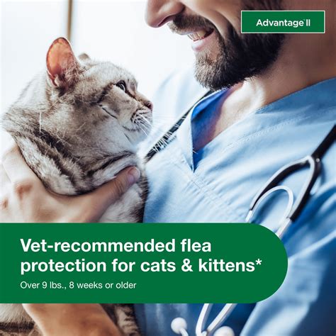 AMAZON4D RECOMMENDED GACOR : Inovasi Digital Pengadilan Agama Buol