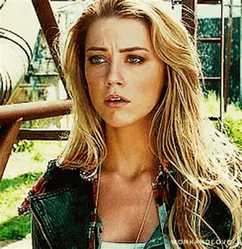 Amber Heard Dog Stepped on a Bee Latest Memes - Imgflip