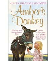 Ambers Donkey How A Donkey And A Little Girl Healed Each Other