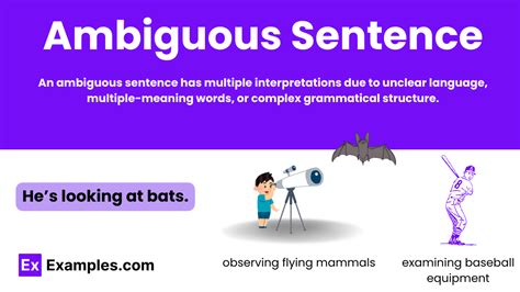 Ambiguous In A Sentence