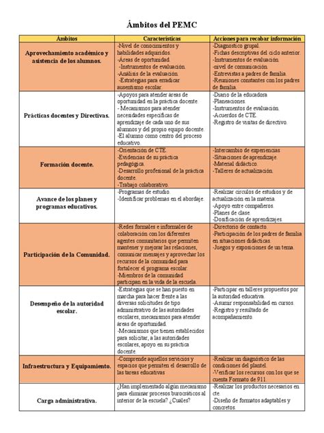 Ambitos Del Pemc