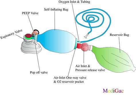 Ambu Bag Ppt