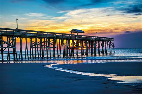 amelia florida