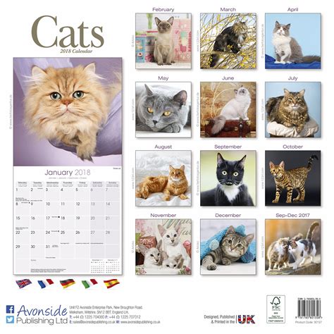 Full Download American Cat 2018 Calendar Includes Free Download 