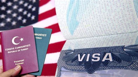 Read American Visa Guide 