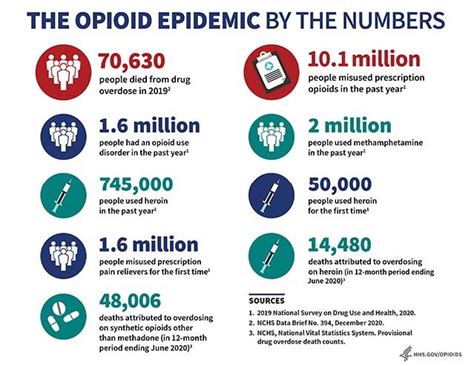Read Online Americas New Drug Epidemic The Opioid Crisis 